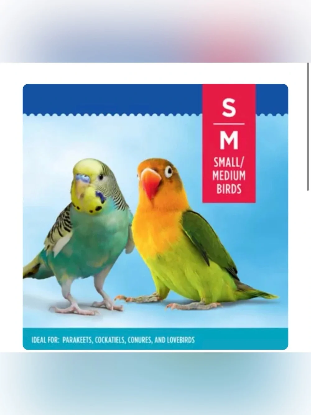 All Living Things® Hanging Nest Bird Hut